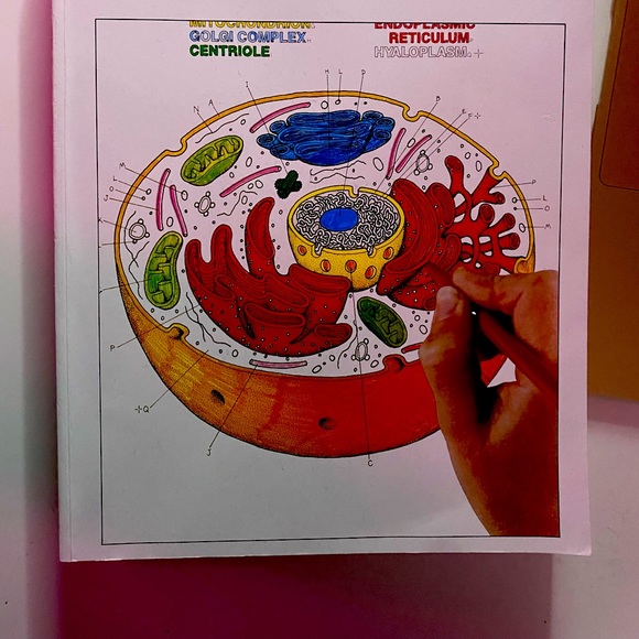 Biology Colouring Book - Picture 2 of 3